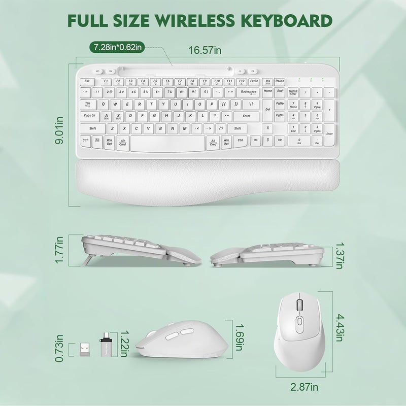EAYBLLY Wireless Keyboard and Mouse Combo, Wave Keys Full-Sized Ergonomic Keyboard with Cushioned Plam Rest, Phone Holder, Comfortable Natural Typing, 2.4G Cordless Set for Computer, Laptop, PC, Mac, Windows - Image 2